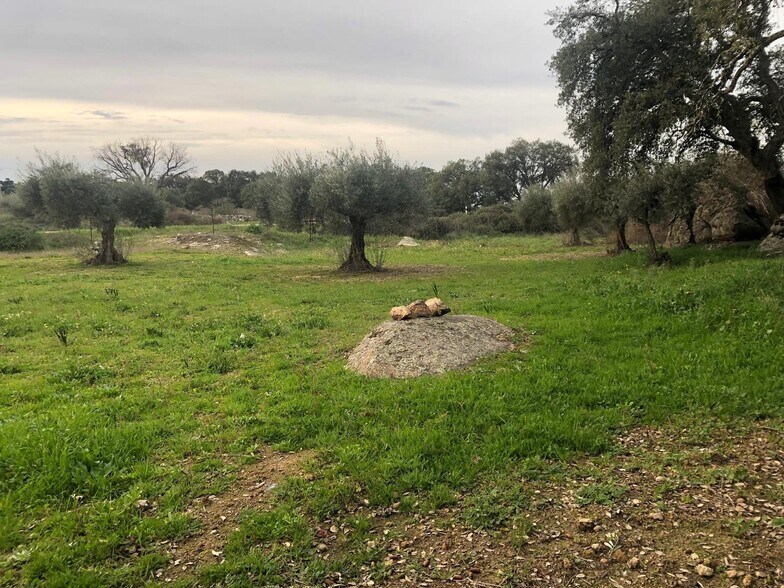 Land in Montánchez for sale - Building Photo - Image 3 of 13