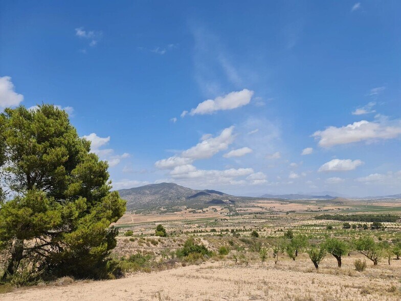 Land in MURCIA for sale - Building Photo - Image 2 of 29