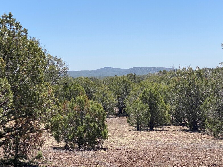 Lot 392 Westwood Ranch, Williams, AZ 86046 Land for Sale