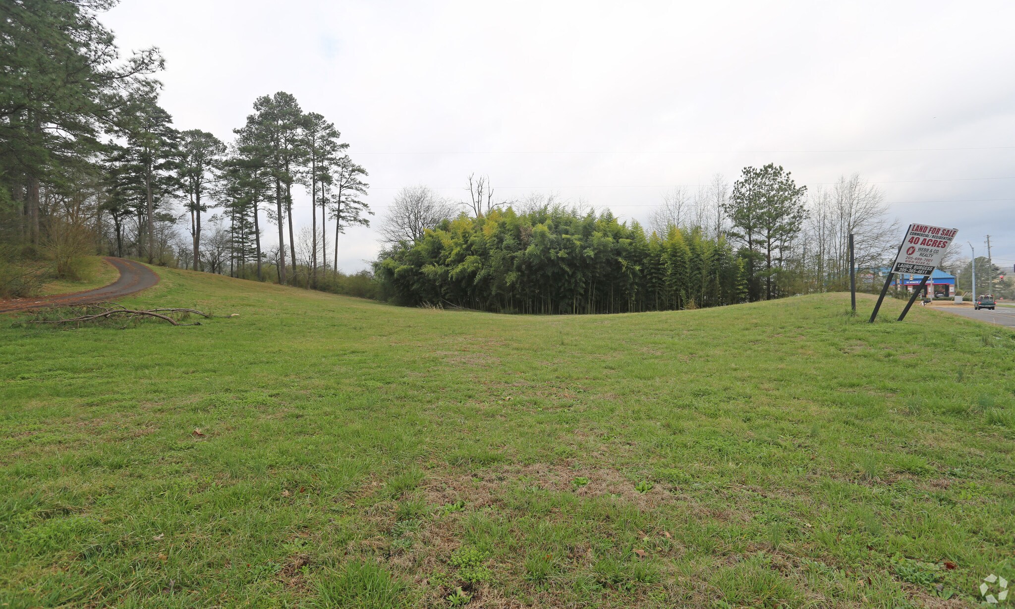 8509 Whitfield Dr, Leeds, AL for sale Primary Photo- Image 1 of 1