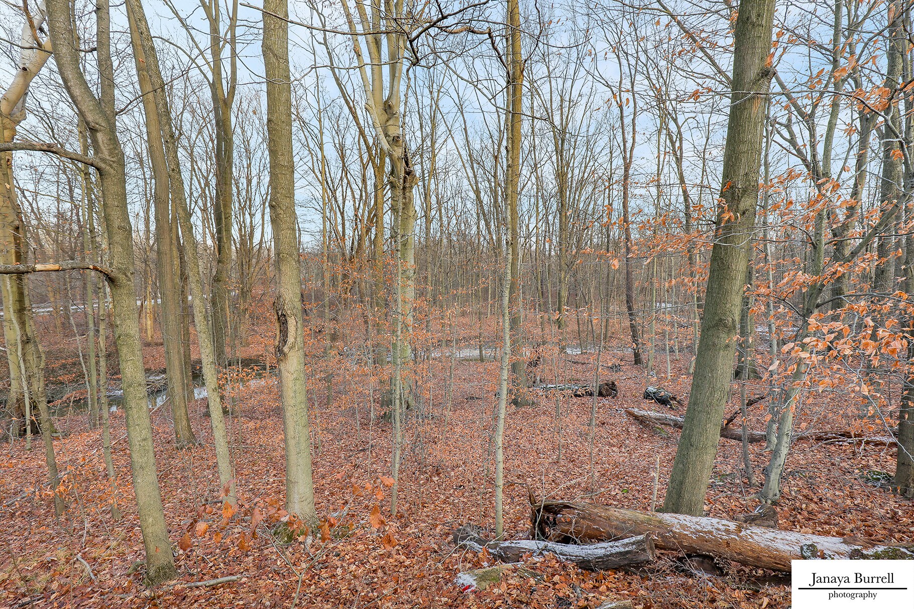 13980 Edison St, Alliance, OH for sale Primary Photo- Image 1 of 1