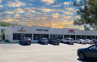 More details for 524 E Washington St, Chagrin Falls, OH - Retail for Sale