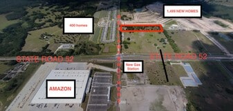San Antonio/SR 52 corridor of Pasco County. - Land