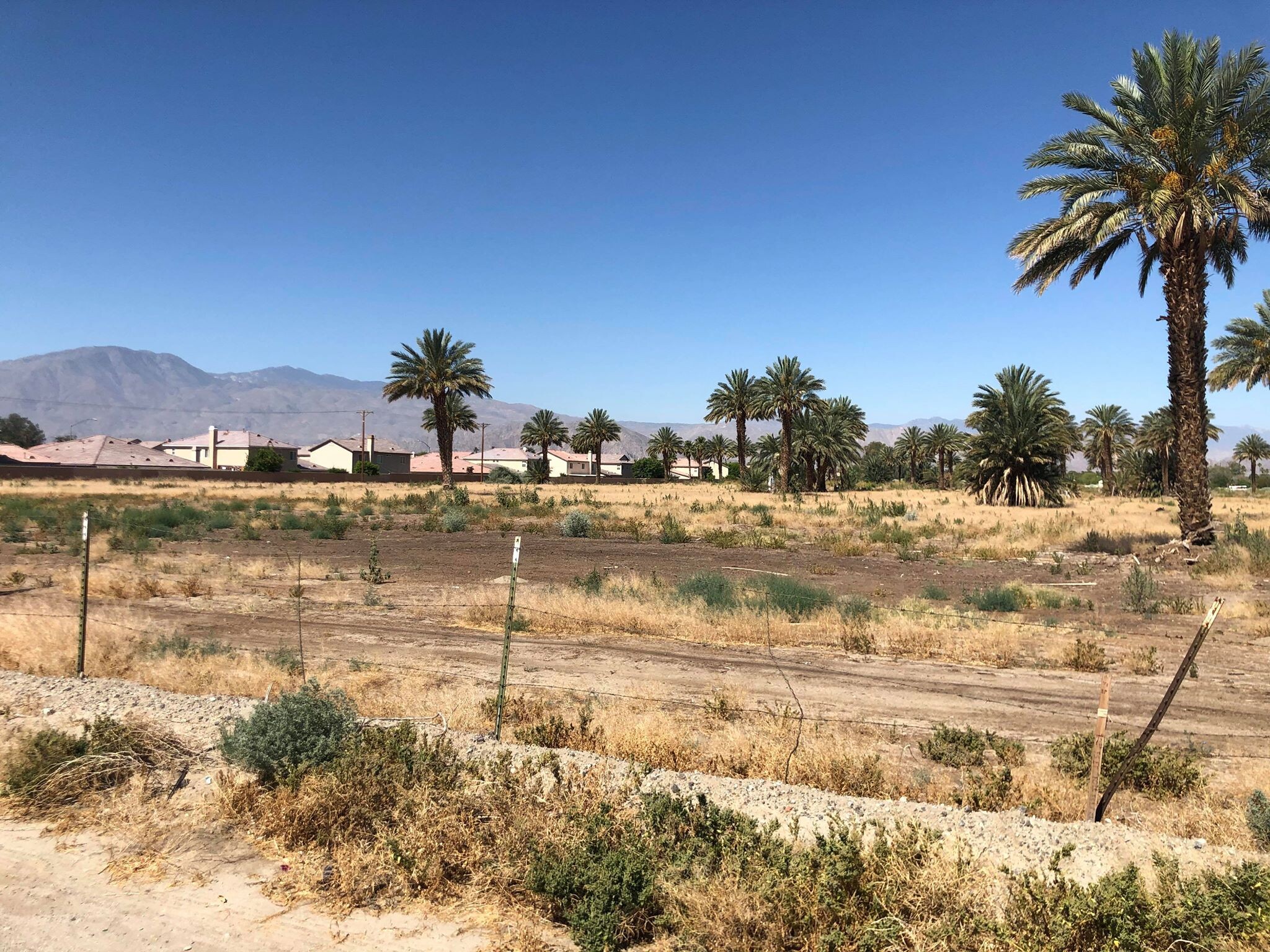 49251 Calhoun St, Coachella, CA 92236 - 38.80 Acres Land: Agriculture ...