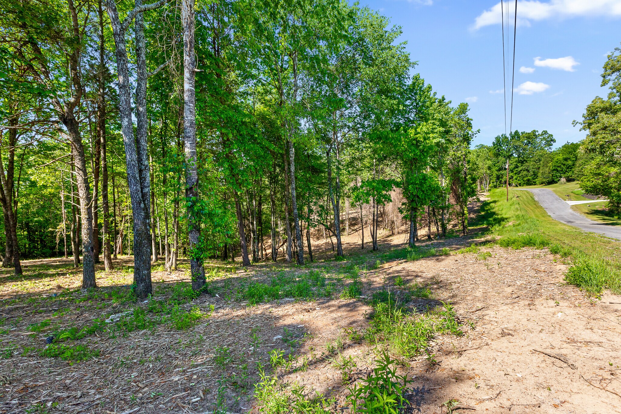 Piney View Drive, Spring City, TN 37381 Land for Sale
