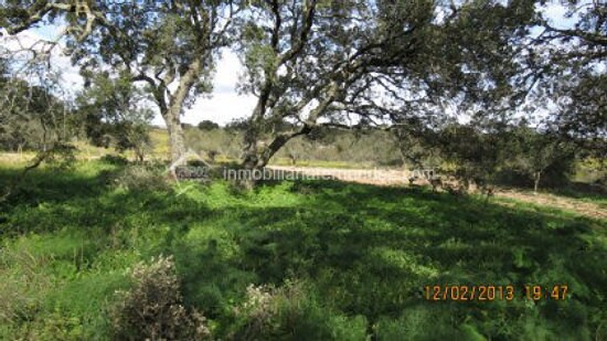 Land in Cáceres for sale - Building Photo - Image 3 of 11