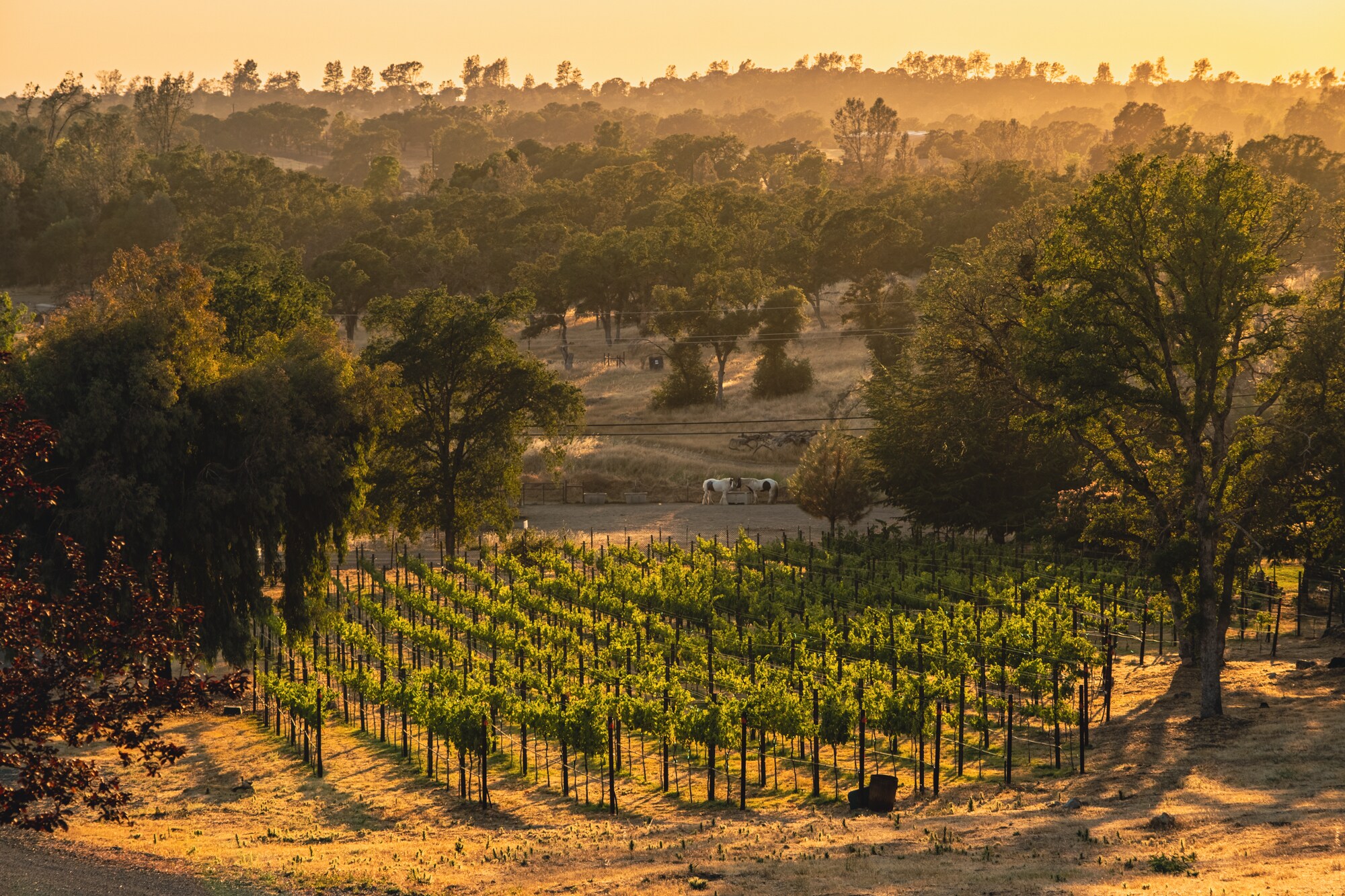 5768 La Porte Rd, Bangor, CA for sale Building Photo- Image 1 of 1