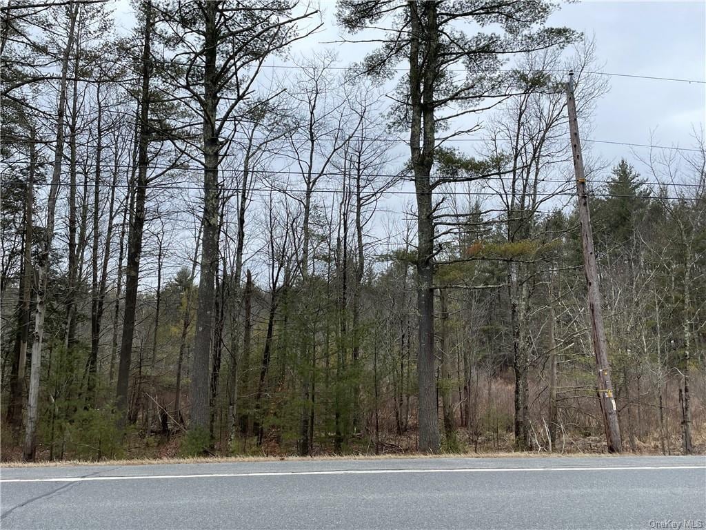 Route 52, Greenfield Park, NY for sale Other- Image 1 of 1