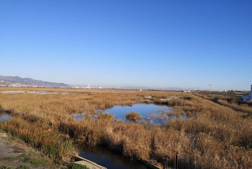 Land in Almenara for sale - Building Photo - Image 2 of 6