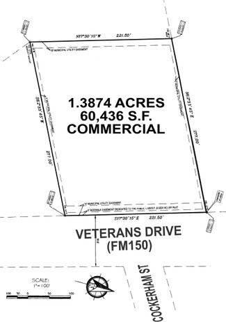 More details for 150 Veterans Dr. Dr, Kyle, TX - Land for Sale