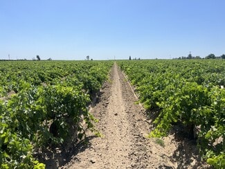 More details for S. of Locan & Conejo Intersection, Kingsburg, CA - Land for Sale