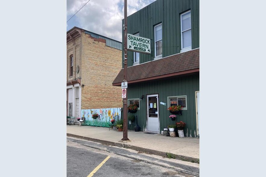 208 Division St, Freeport, MI for sale - Primary Photo - Image 1 of 1
