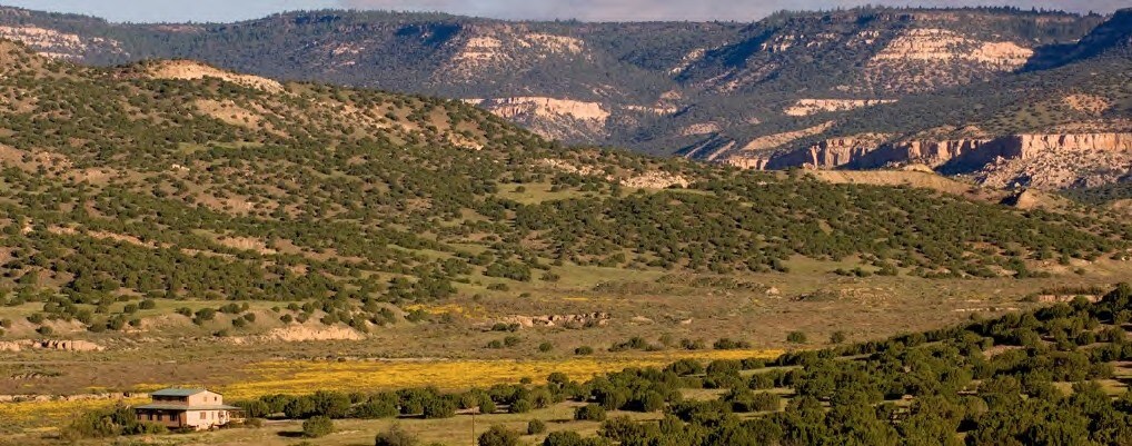 Lobo Ranch, Cubero, NM for sale Primary Photo- Image 1 of 1