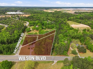 More details for 10417 Wilson Blvd, Blythewood, SC - Land for Sale