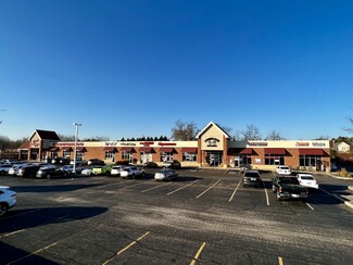 More details for 210-240 Peterson Rd, Libertyville, IL - Retail for Lease