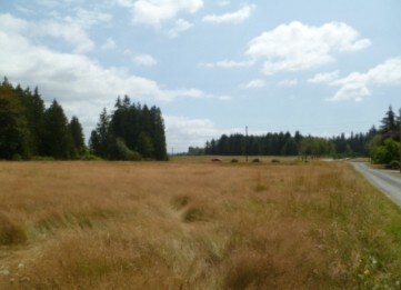 3811 188th St NE, Arlington, WA for sale - Primary Photo - Image 2 of 7