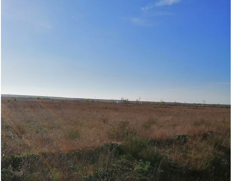Land in Mansilla de las Mulas for sale - Building Photo - Image 3 of 18