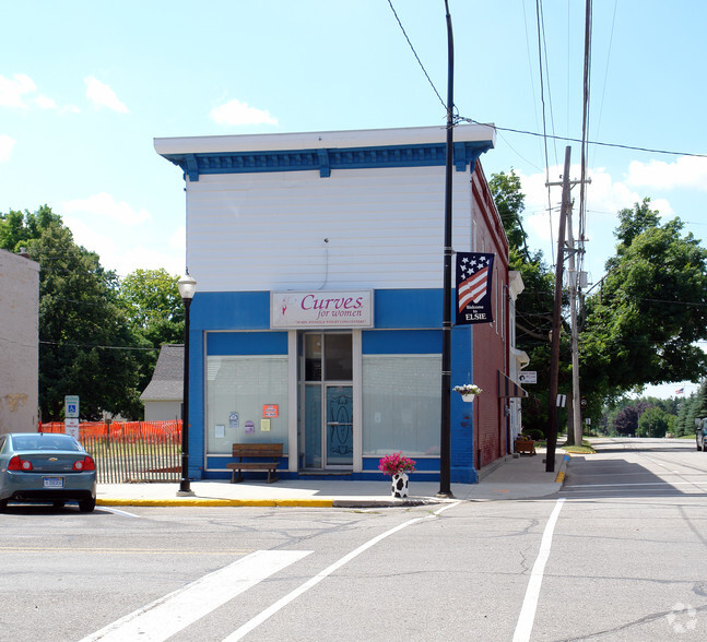 100 E Main St, Elsie, MI for sale - Primary Photo - Image 1 of 1