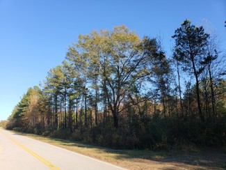 More details for Old Stage Rd, Latta, SC - Land for Sale