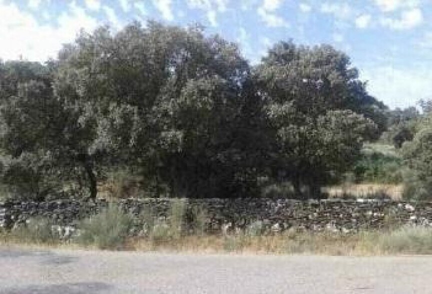 Land in Aldea del Obispo for sale - Building Photo - Image 2 of 2