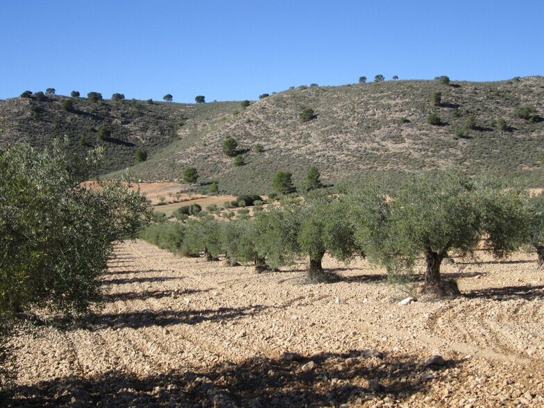 Land in MURCIA for sale - Building Photo - Image 2 of 5