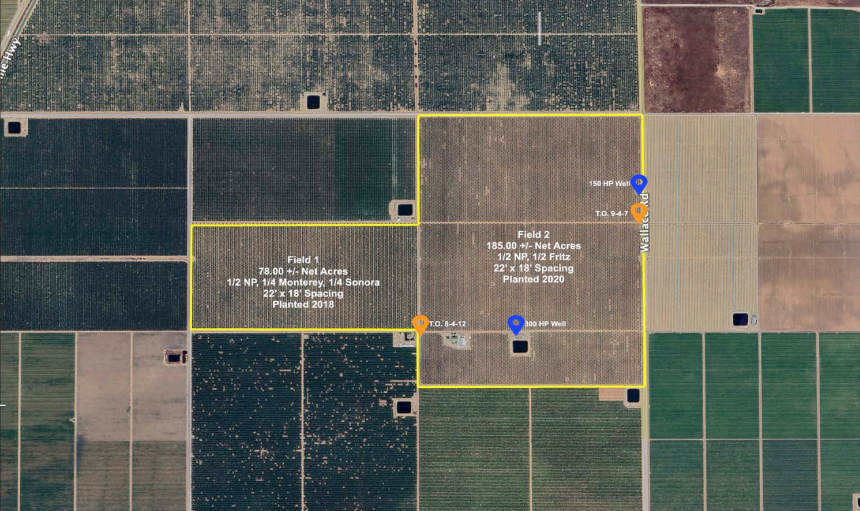 889.19 Acres of Almonds in San Joaquin portfolio of 3 properties for sale on LoopNet.com - Building Photo - Image 2 of 3