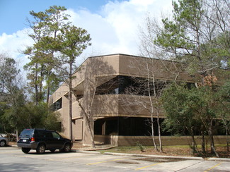 More details for 10655 Six Pines Dr, The Woodlands, TX - Office for Lease