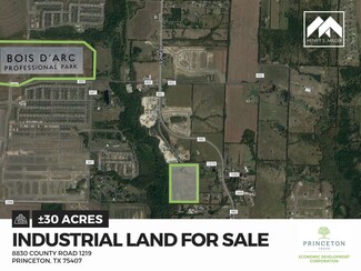 More details for 8830 CR 1219, Princeton, TX - Land for Sale