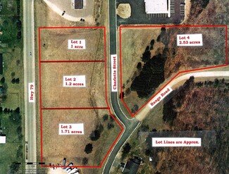 More details for Charlotte St, Boyceville, WI - Land for Sale