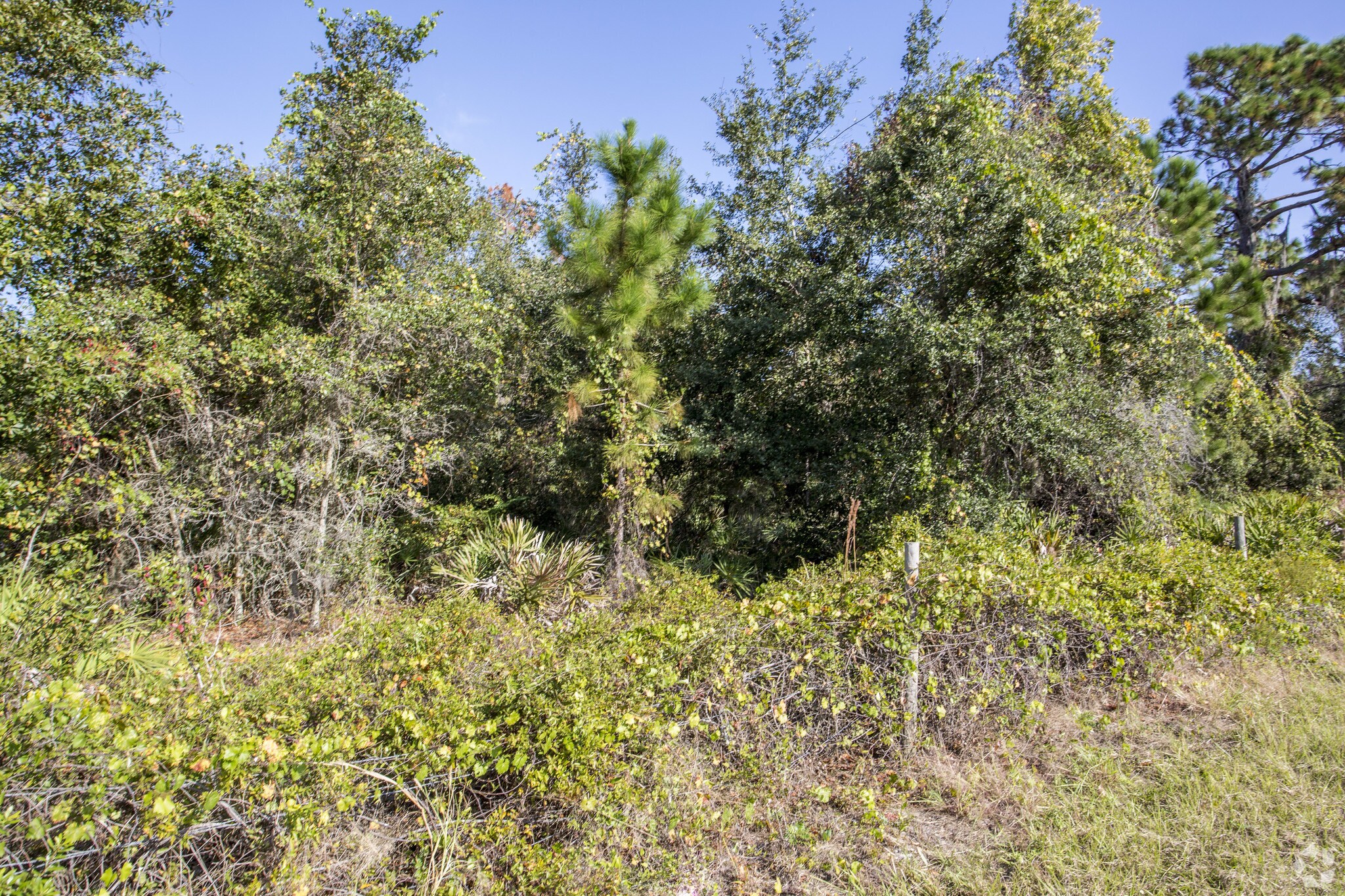 N US-301, Parrish, FL for sale Primary Photo- Image 1 of 1