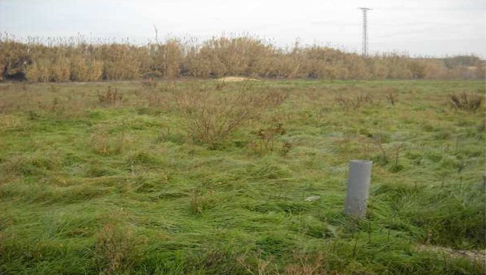 Land in Bell-lloc d'Urgell, Lérida for sale - Primary Photo - Image 3 of 3