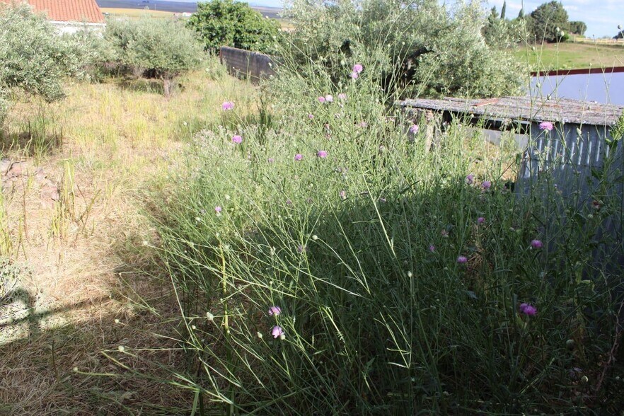 Land in Sierra de Fuentes for sale - Building Photo - Image 2 of 9