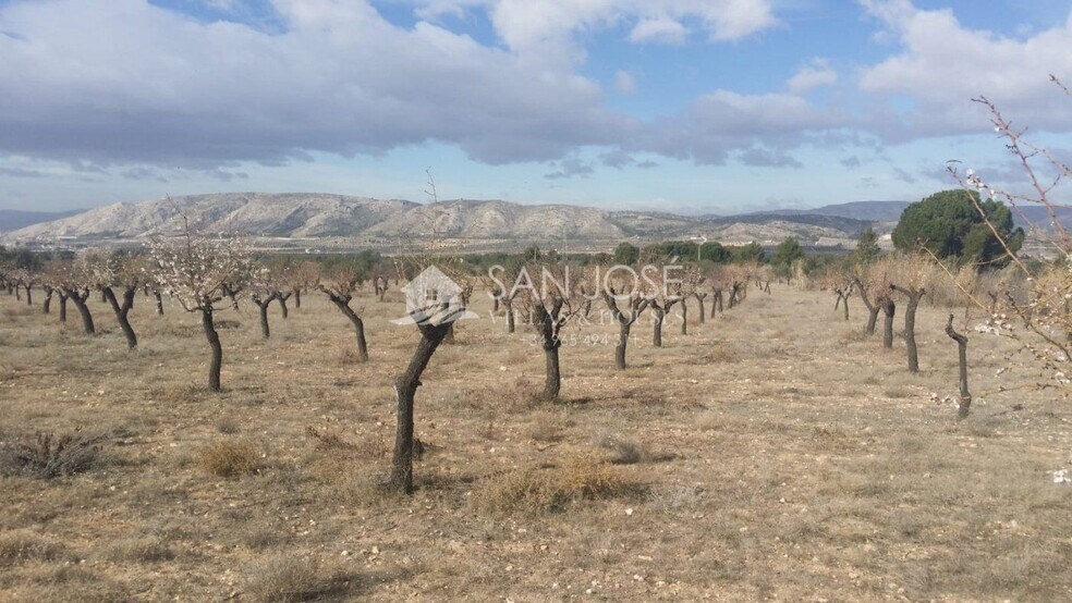 Land in Biar for sale - Building Photo - Image 3 of 6