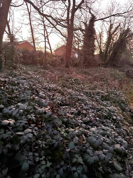 20 Wyatt Rd, Windsor for sale - Other - Image 2 of 3