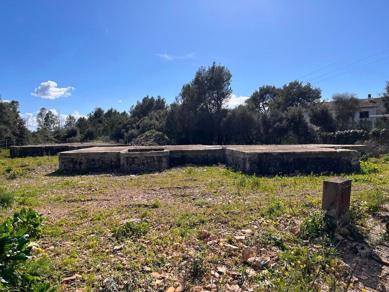 Land in Sa Pobla, Islas Baleares for sale - Construction Photo - Image 3 of 13