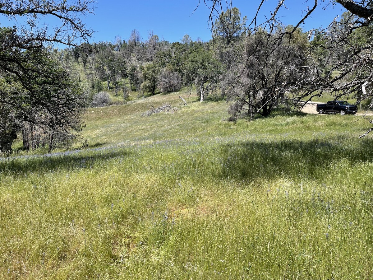 Rd 225, North Fork, CA 93643