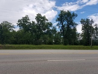 More details for 11812 US Highway 319 N, Thomasville, GA - Land for Sale