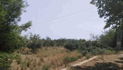Land in BENICÀSSIM for sale - Building Photo - Image 2 of 3