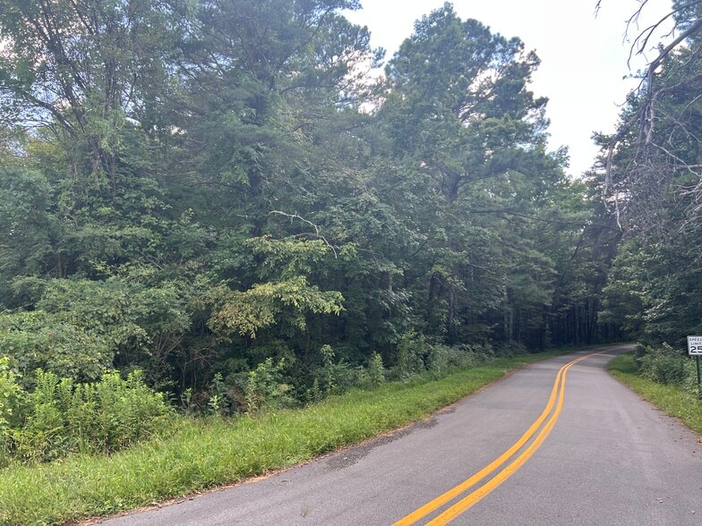 Hwy 411 & Maxwell Rd, Rydal, GA for sale - Building Photo - Image 3 of 8