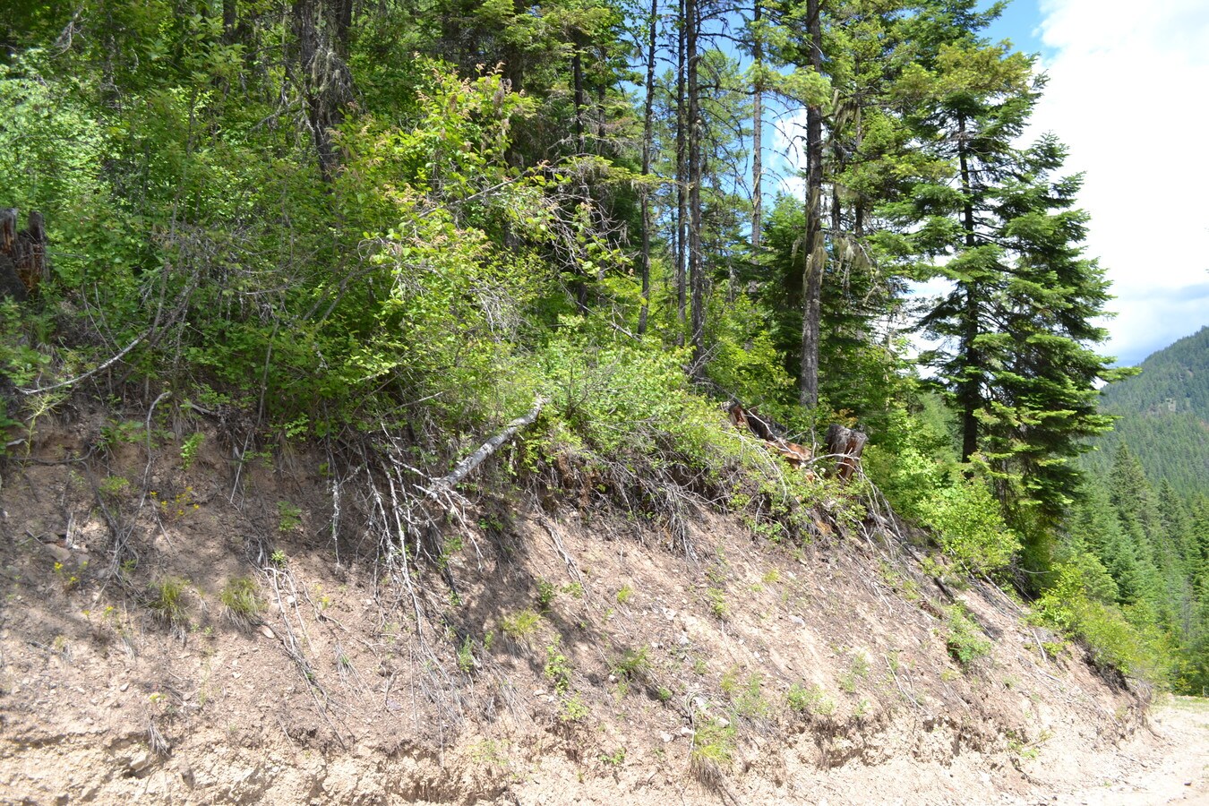 6071 Bead Lake Rd, Newport, WA 99156