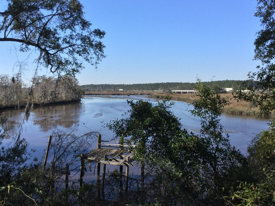 Highway 251, Darien, GA for sale Primary Photo- Image 1 of 1