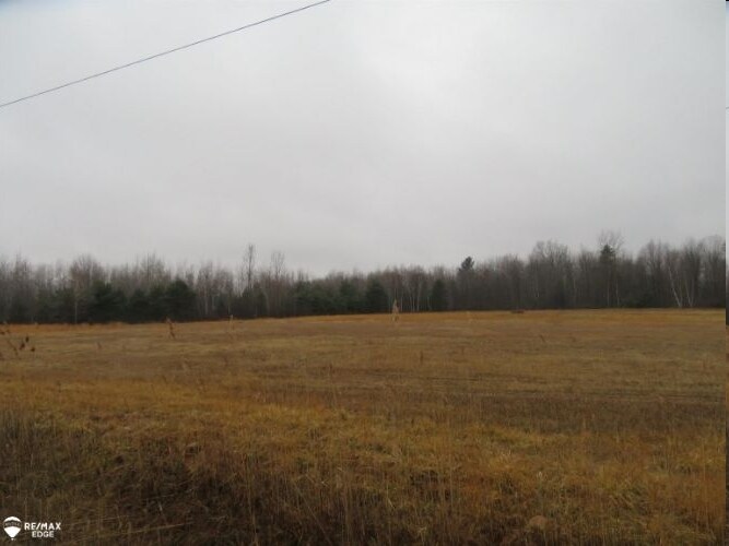 V/L Murphy Lake Rd, Millington, MI for sale Primary Photo- Image 1 of 1