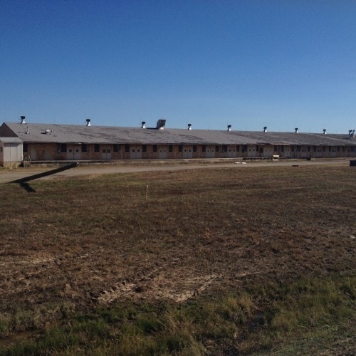 205 Collin St, Hooks, TX for lease Primary Photo- Image 1 of 6