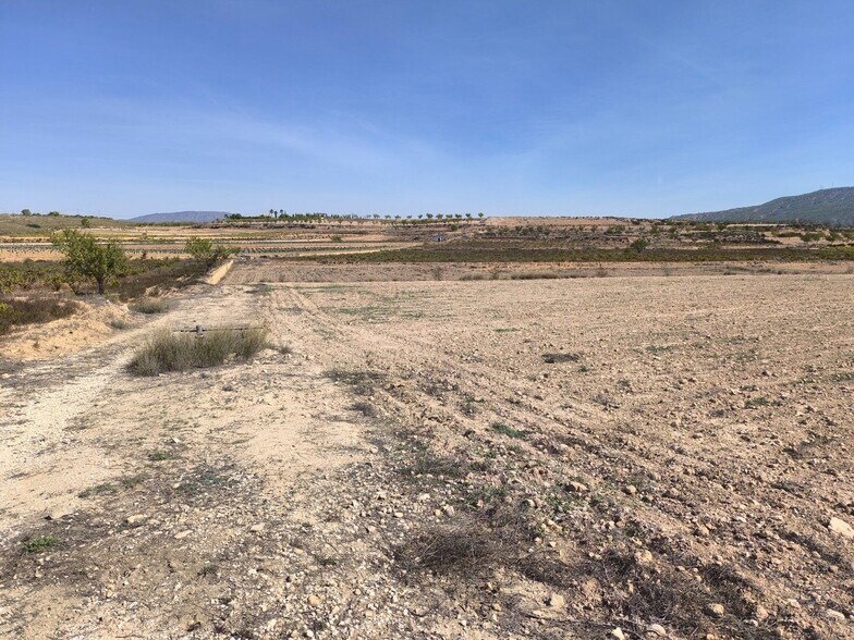 Land in PINOSO for sale - Building Photo - Image 3 of 9