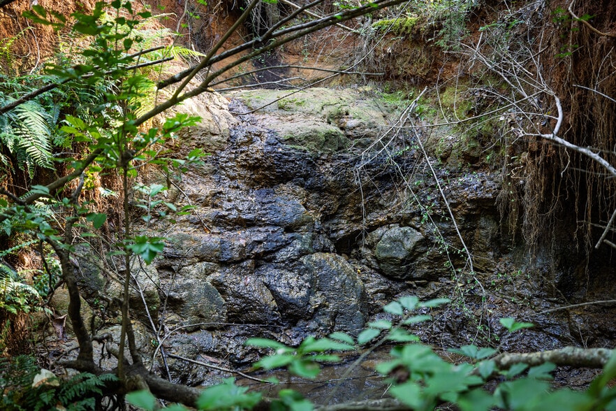 600 Roselake Dr, Nacogdoches, TX for sale - Building Photo - Image 2 of 17