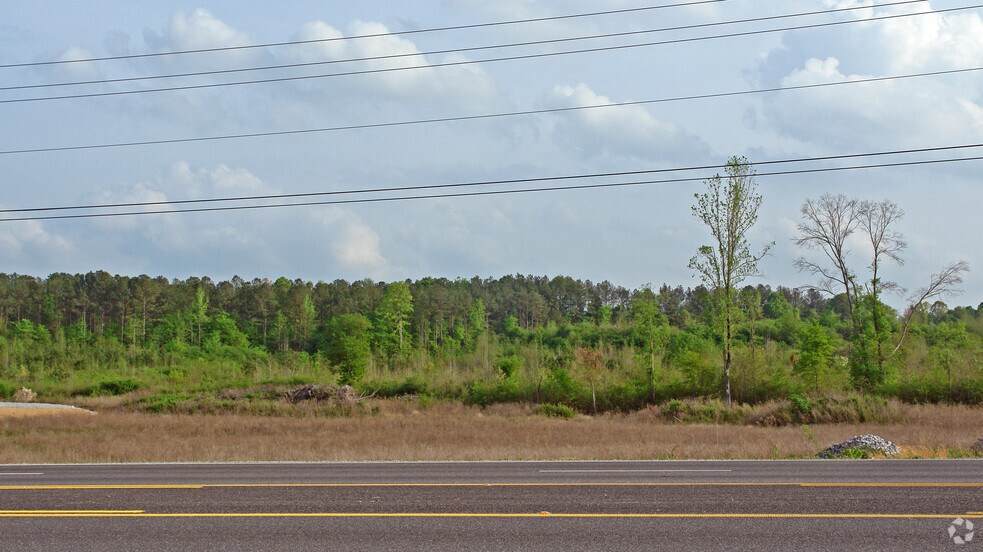 Hwy 77, Lincoln, AL for sale - Primary Photo - Image 1 of 1