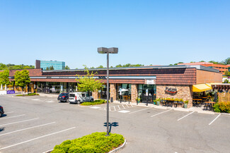 More details for 210-236 N Radnor Chester Rd, Radnor, PA - Retail for Lease