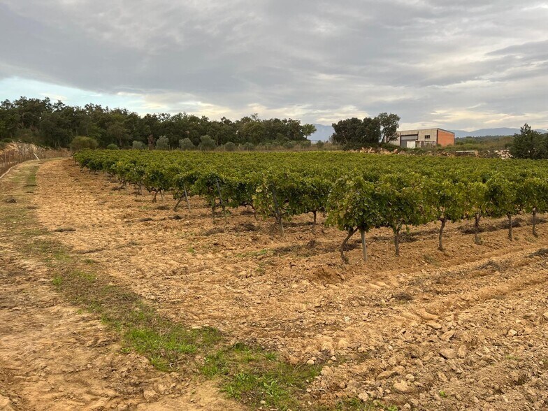 Carrer De La Roca, 20, Capmany, Gerona for sale - Building Photo - Image 3 of 7