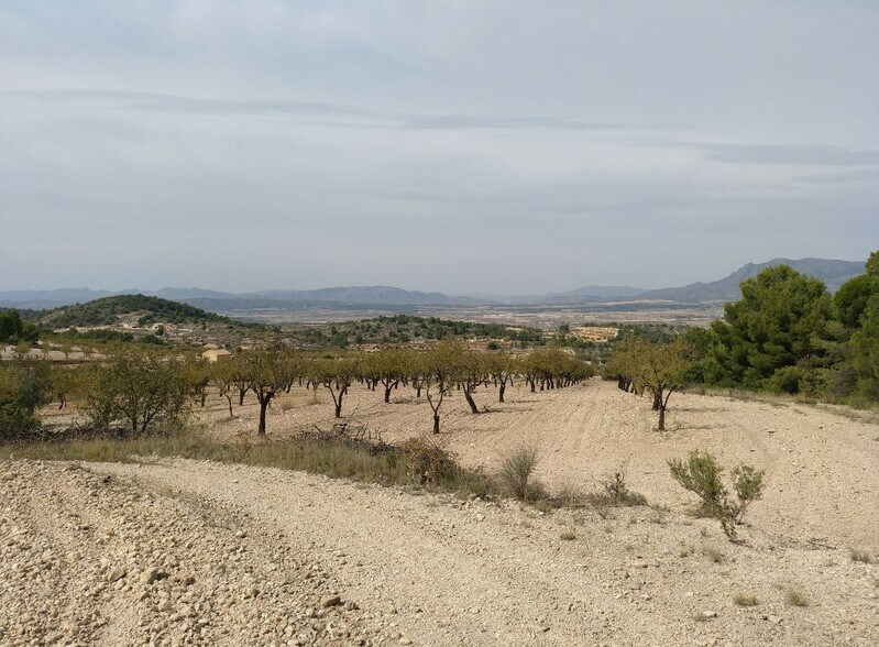 Land in Abanilla for sale - Building Photo - Image 1 of 8