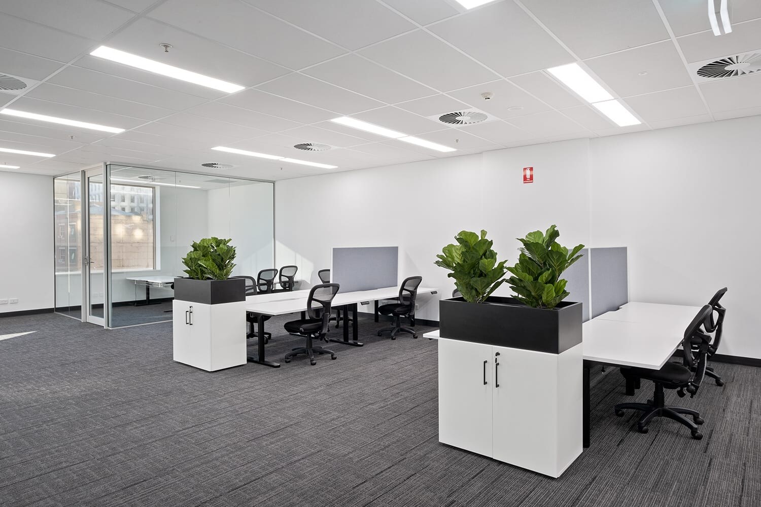30 Currie St, Adelaide for lease Interior Photo- Image 1 of 3